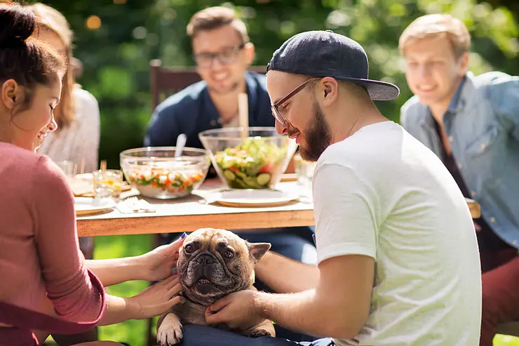 Outdoor Griddle Safety