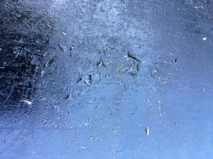 Flaking on Blackstone griddle