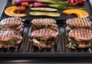 Full Reviews of the 11 Best Griddlers | Griddle Sizzle